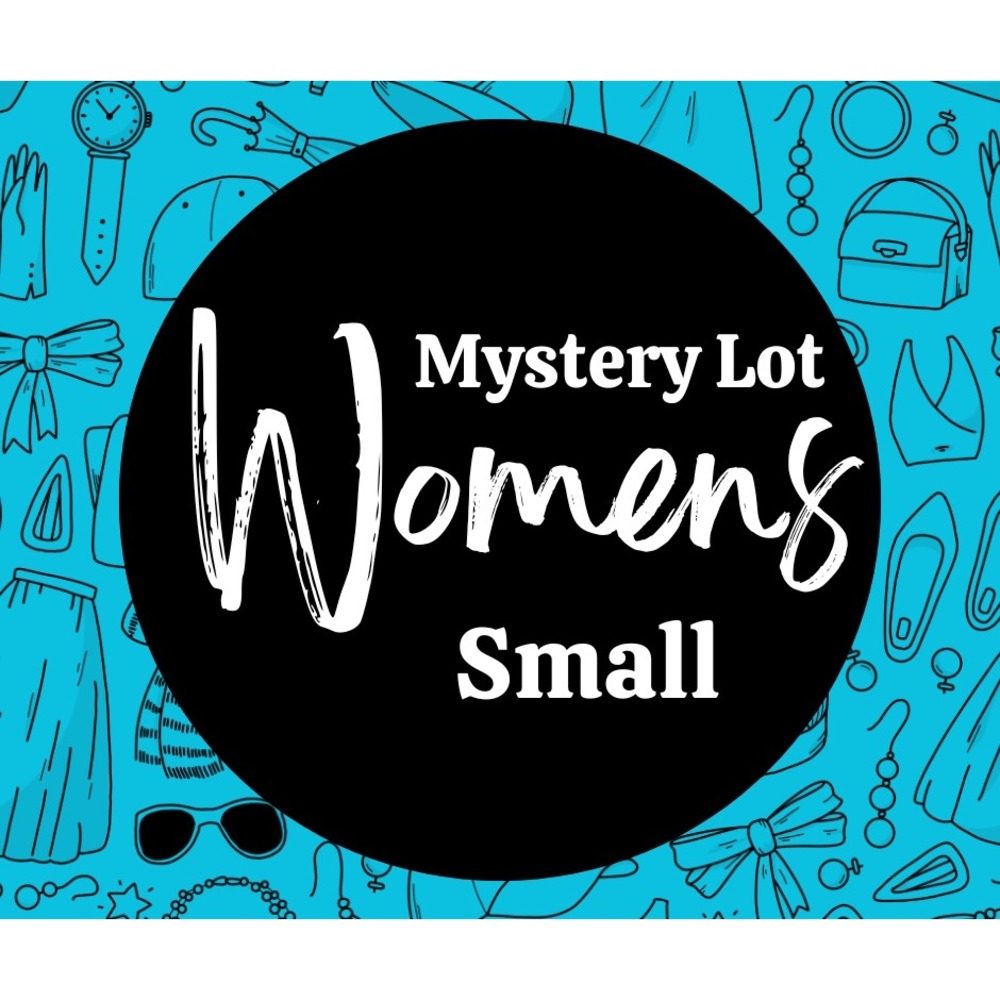 Womens Mystery Lot Fall Clothing Bundle SmalL Surprise Autumn Sweater Top Shirt